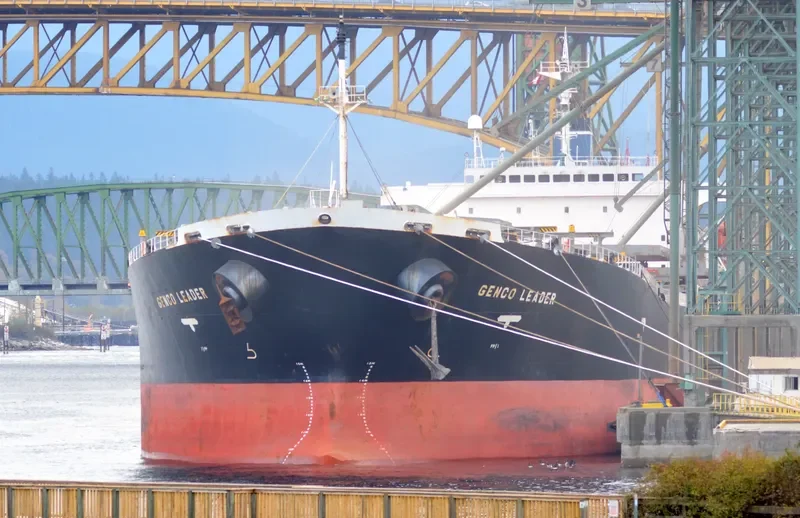 XING HONG DA Bulk Carrier IMO 9200366 photo 5