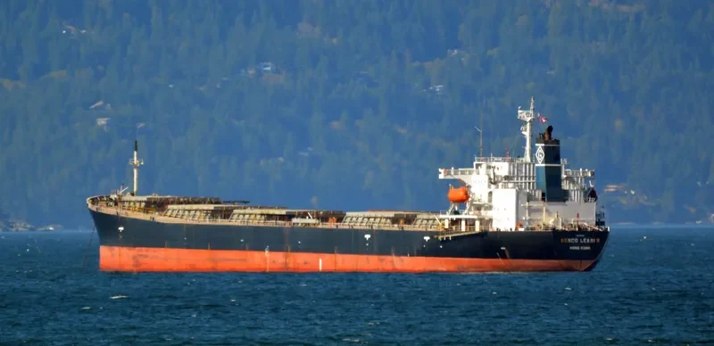 XING HONG DA Bulk Carrier IMO 9200366 photo 8