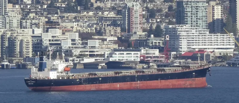 XING HONG DA Bulk Carrier IMO 9200366 photo 9