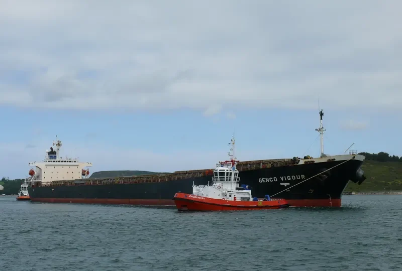 CHOLA HARMONY Bulk Carrier IMO 9200392 photo 9