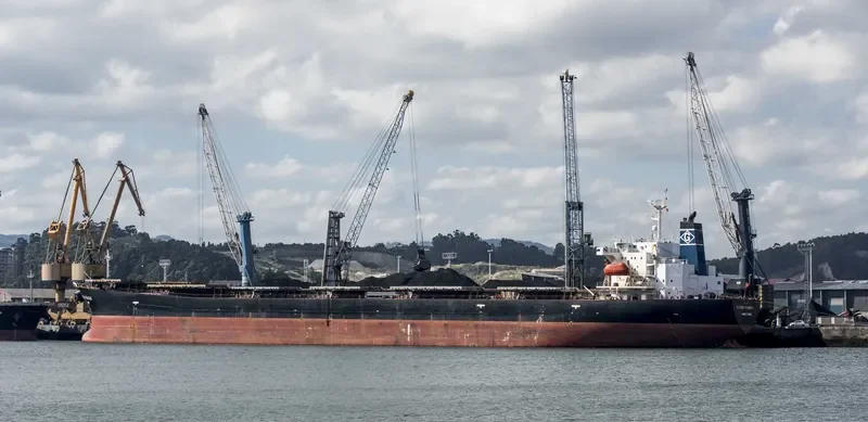 CHOLA HARMONY Bulk Carrier IMO 9200392 photo 10