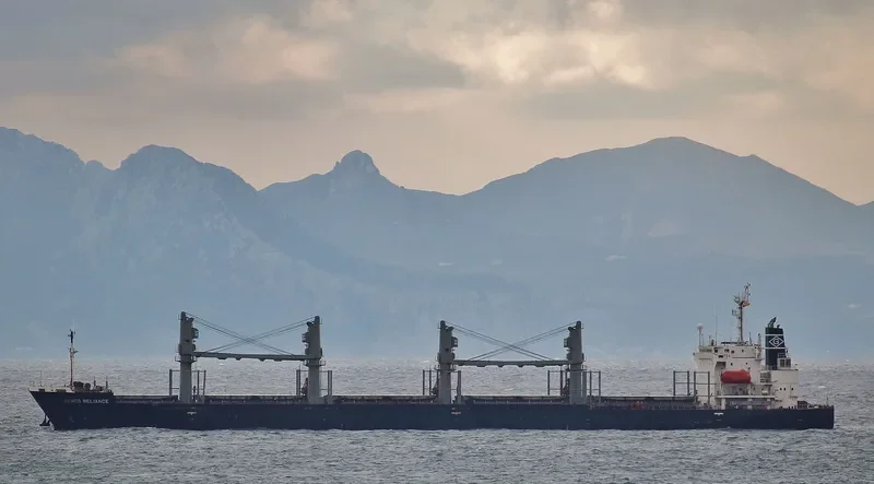 UNIVERSE RELIANCE Bulk Carrier IMO 9200407 photo 2