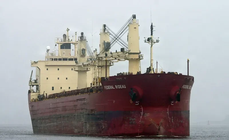 FEDERAL RIDEAU Bulk Carrier IMO 9200445 photo 7