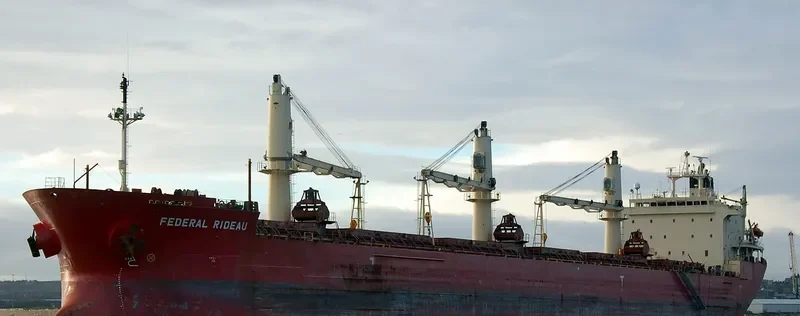 FEDERAL RIDEAU Bulk Carrier IMO 9200445 photo 8