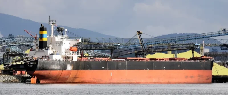 XIN DONG GUAN 11 Bulk Carrier IMO 9200562
