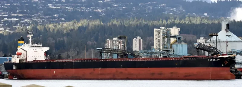 XIN DONG GUAN 11 Bulk Carrier IMO 9200562 photo 2