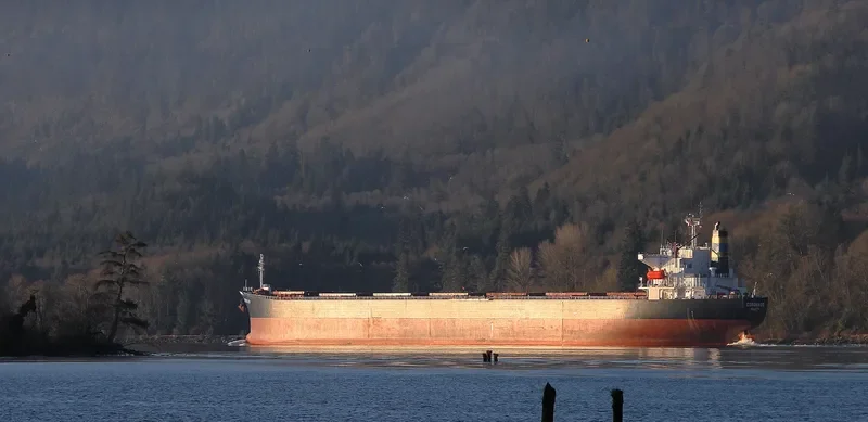 XIN DONG GUAN 11 Bulk Carrier IMO 9200562 photo 4