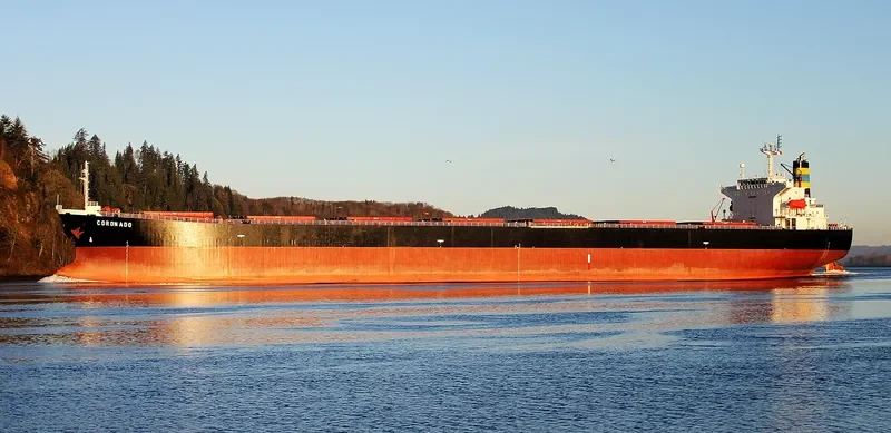 XIN DONG GUAN 11 Bulk Carrier IMO 9200562 photo 6