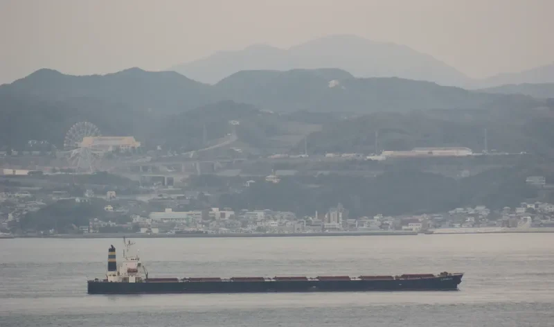 XIN DONG GUAN 11 Bulk Carrier IMO 9200562 photo 8
