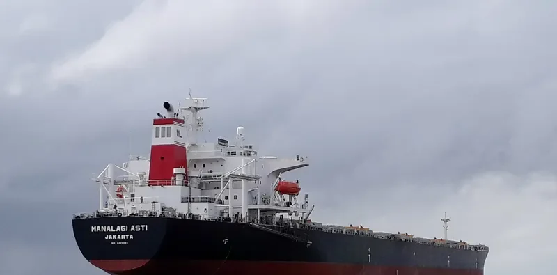 MANALAGI ASTI Bulk Carrier IMO 9200665 photo 9