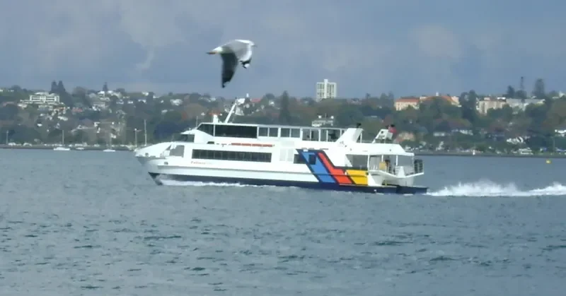 STARFLYTE Passenger Ship IMO 9200902 photo 5