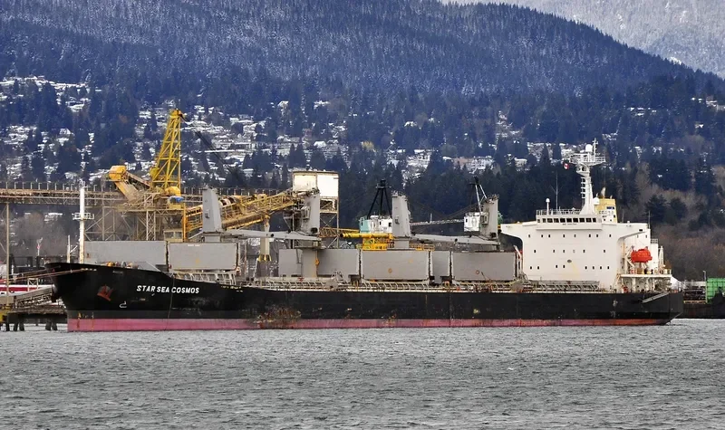 SEA PROSPERITY Bulk Carrier IMO 9201061 photo 7