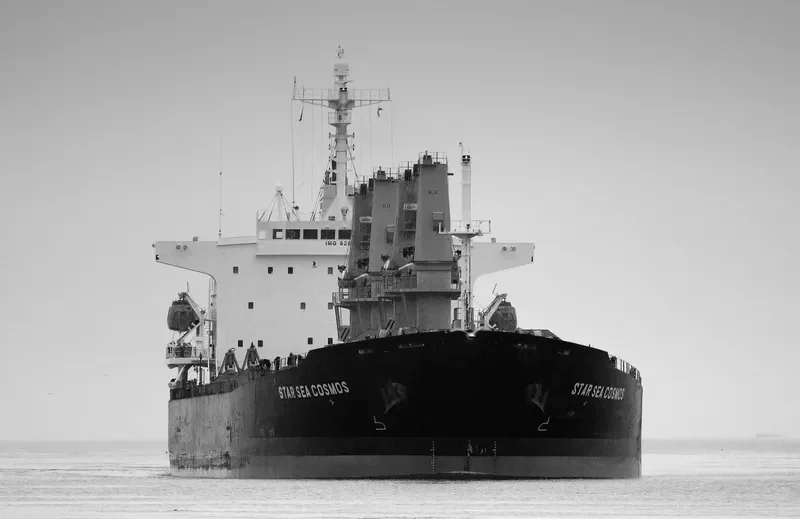 SEA PROSPERITY Bulk Carrier IMO 9201061 photo 8