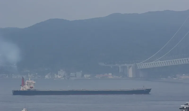 MONA LINDEN Bulk Carrier IMO 9201736 photo 2