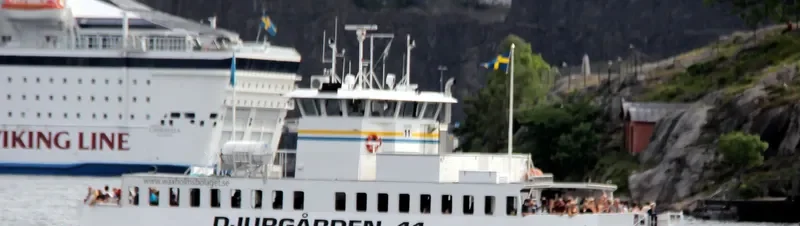DJURGARDEN 11 Passenger Ship IMO 9201889 photo 2