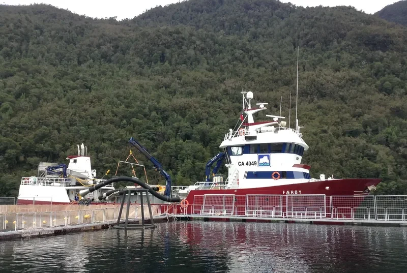 FAEROY General Cargo IMO 9201891 photo 3