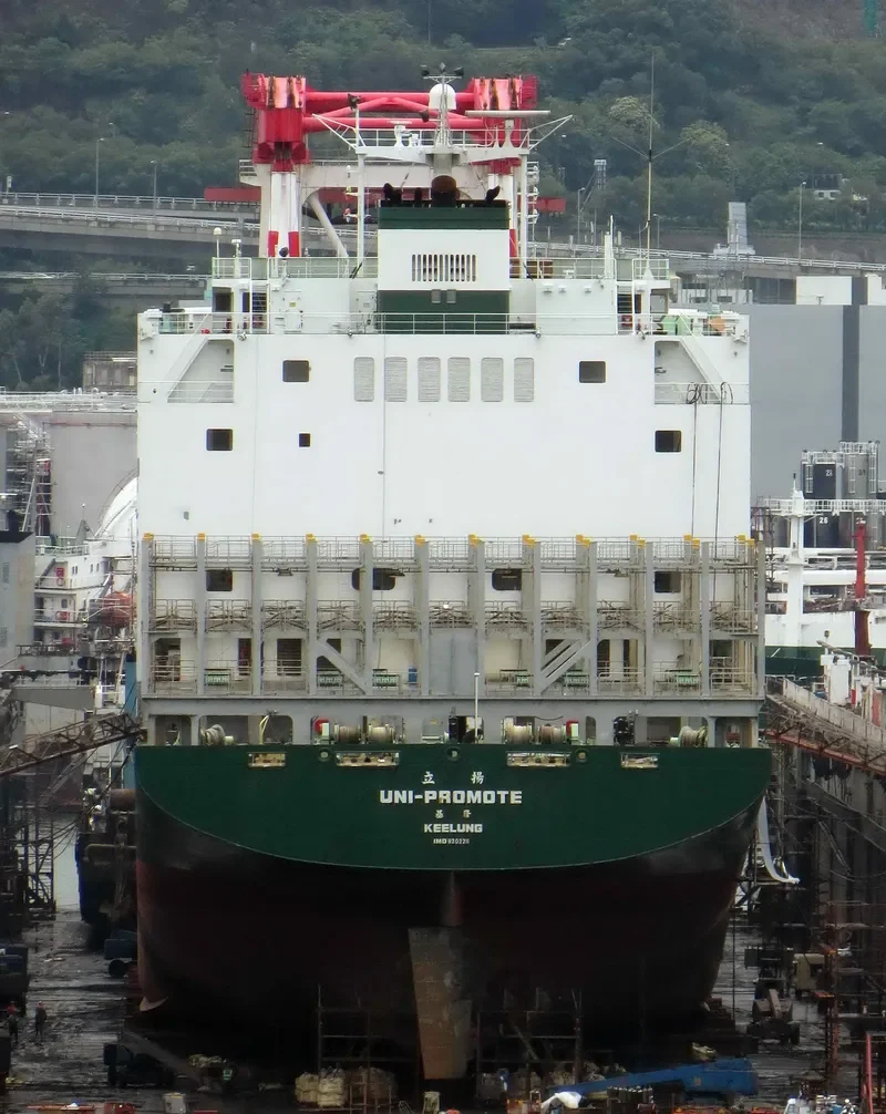 UNI PROMOTE Container Ship IMO 9202211 photo 5