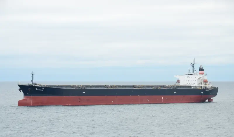 HC SUNSHINE Bulk Carrier IMO 9202584 photo 3