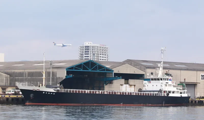 SHINWA MARU NO.7 General Cargo IMO 9202974