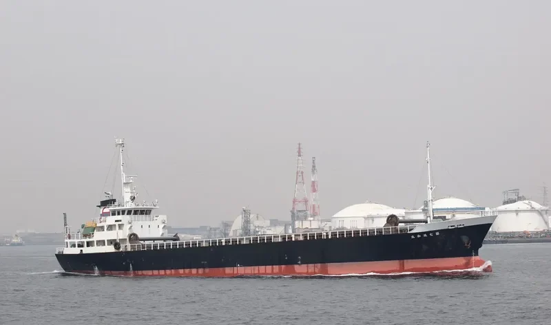 SHINWA MARU NO.7 General Cargo IMO 9202974 photo 3