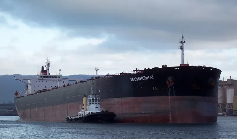 TIAN SHUN HAI Bulk Carrier IMO 9203124 photo 6