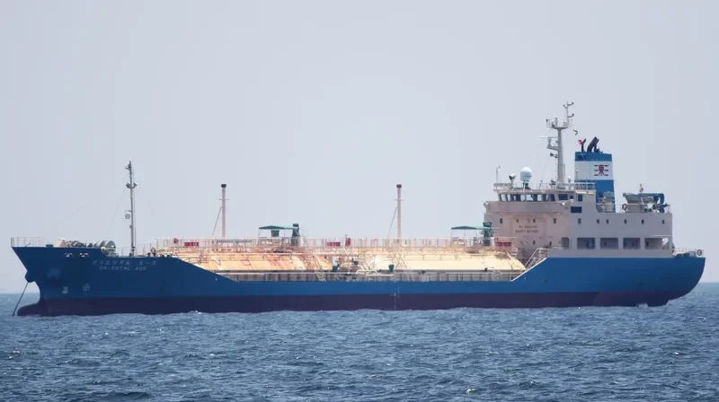 ORIENTAL ACE General Cargo IMO 9203241 photo 8