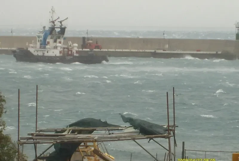 VIGOROSO Z General Cargo IMO 9203344
