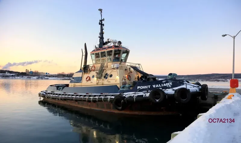 POINT VALIANT General Cargo IMO 9203435