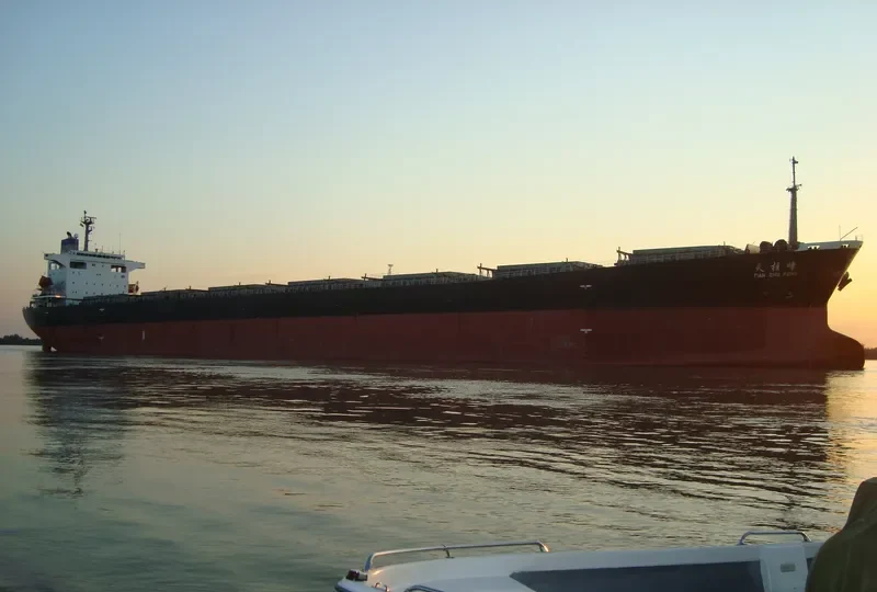 TIAN ZHU FENG Bulk Carrier IMO 9203485