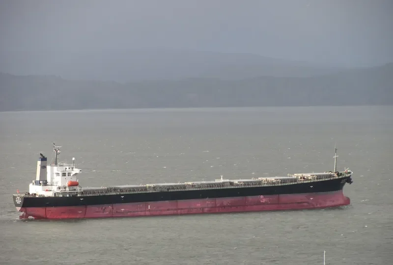 TIAN ZHU FENG Bulk Carrier IMO 9203485 photo 7