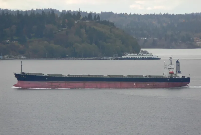 TIAN ZHU FENG Bulk Carrier IMO 9203485 photo 9
