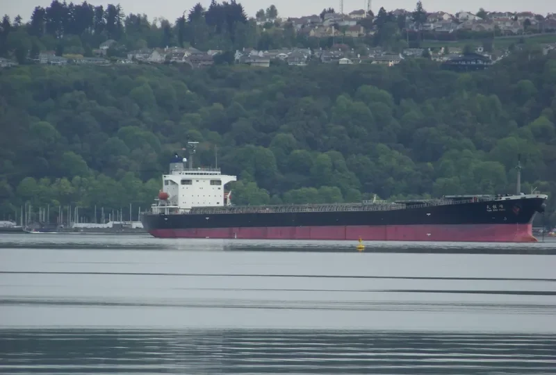 TIAN ZHU FENG Bulk Carrier IMO 9203485 photo 10