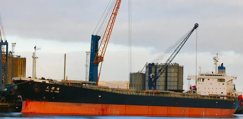 TIAN DU FENG Bulk Carrier IMO 9203497 photo 7