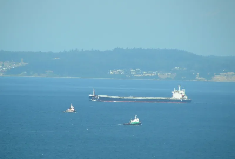 TIAN DU FENG Bulk Carrier IMO 9203497 photo 9