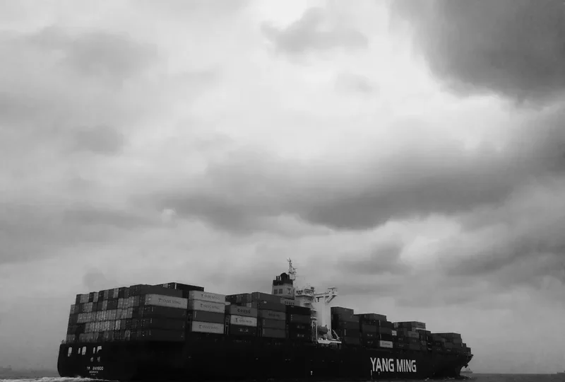 RAMBO Container Ship IMO 9203629 photo 3