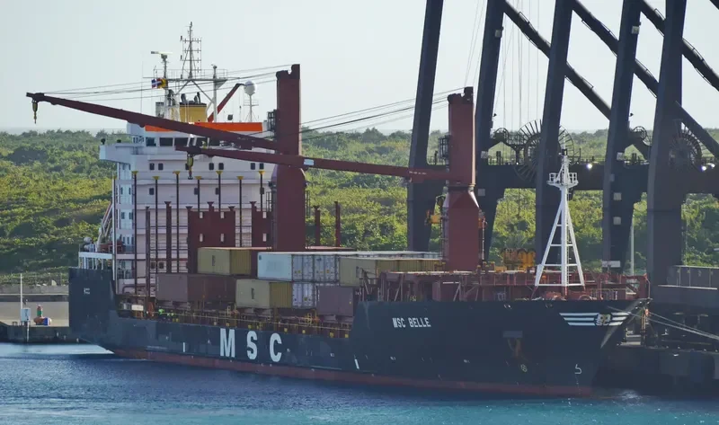 MSC BELLE Container Ship IMO 9203904
