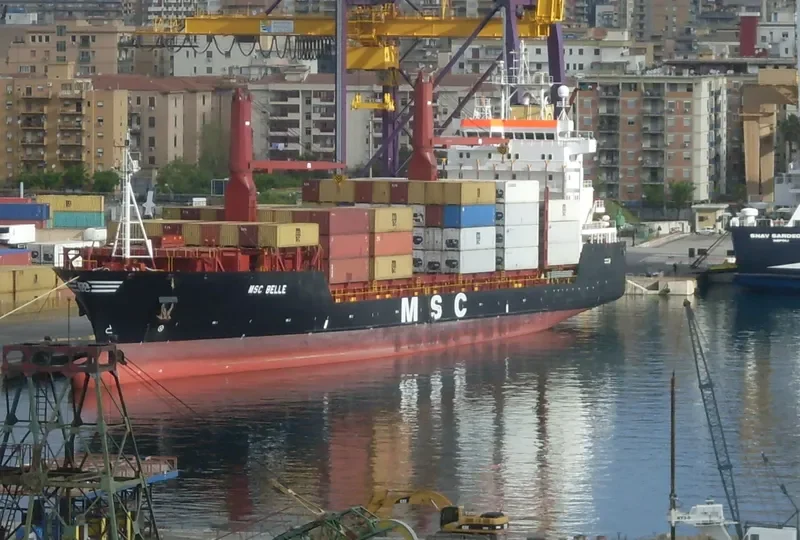 MSC BELLE Container Ship IMO 9203904 photo 3