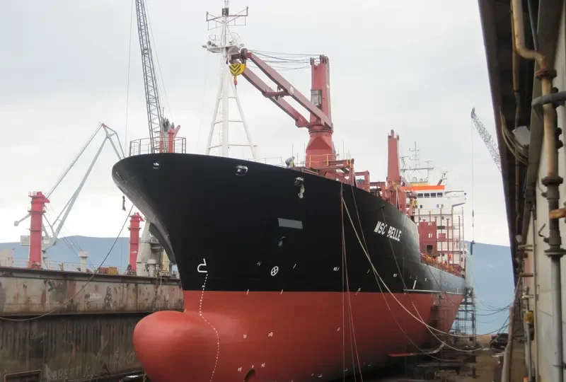 MSC BELLE Container Ship IMO 9203904 photo 5