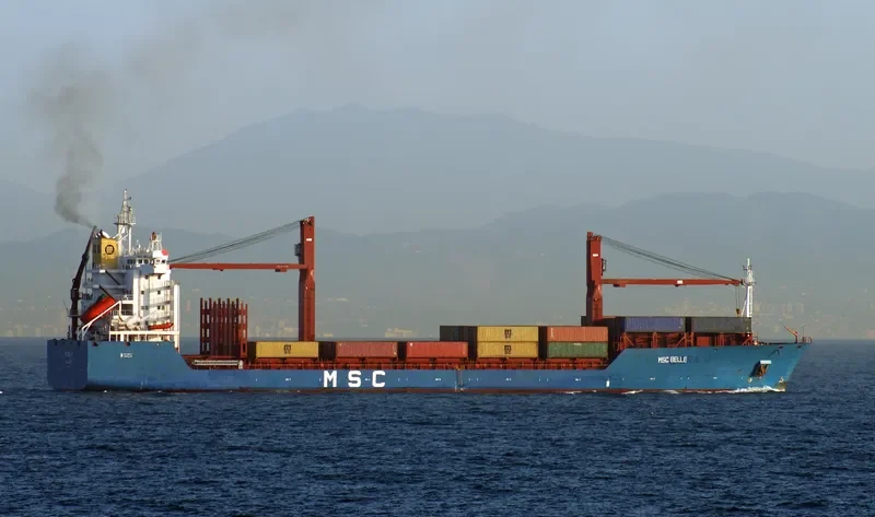 MSC BELLE Container Ship IMO 9203904 photo 6