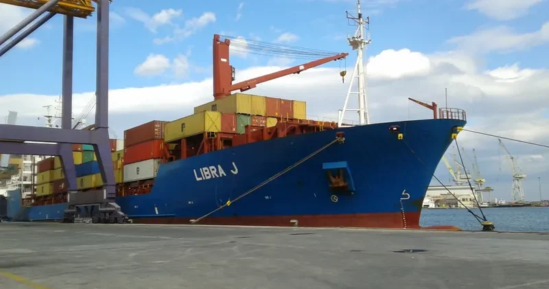 MSC BELLE Container Ship IMO 9203904 photo 8