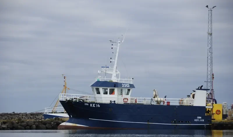 ASDIS General Cargo IMO 9204051 photo 5