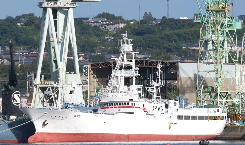 DAIKICHI MARU NO.5 General Cargo IMO 9204192