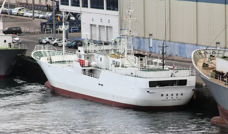 DAIKICHI MARU NO.5 General Cargo IMO 9204192 photo 9