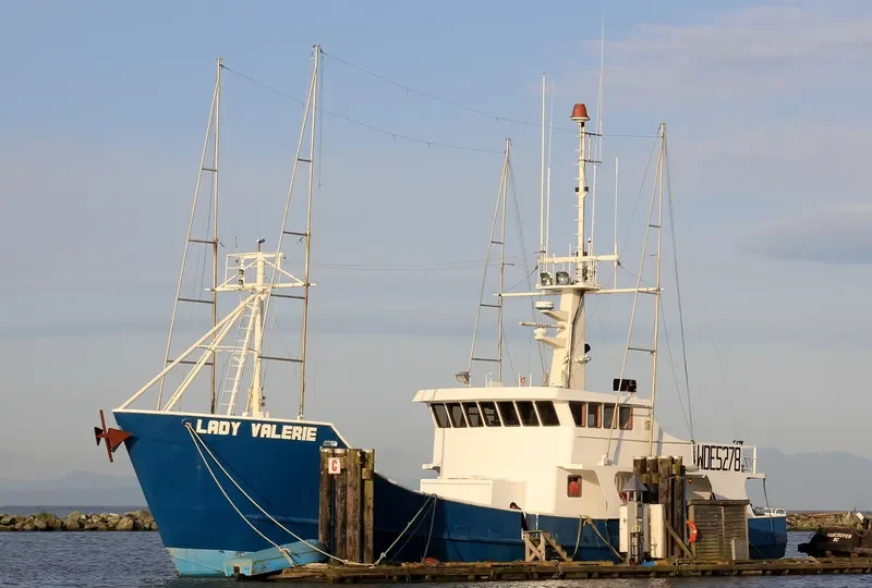 DAYNA S General Cargo IMO 9204300