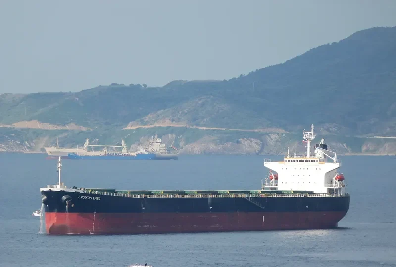 EVOIKOS THEO Bulk Carrier IMO 9204685