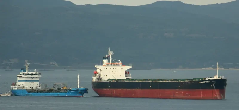 EVOIKOS THEO Bulk Carrier IMO 9204685 photo 9