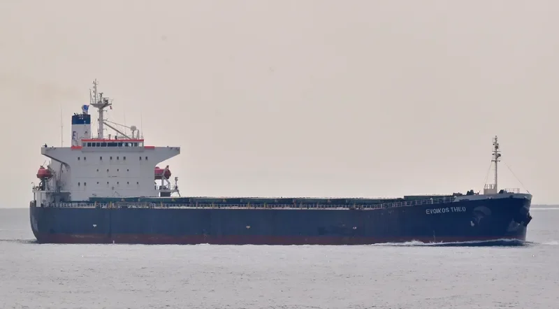 EVOIKOS THEO Bulk Carrier IMO 9204685 photo 10