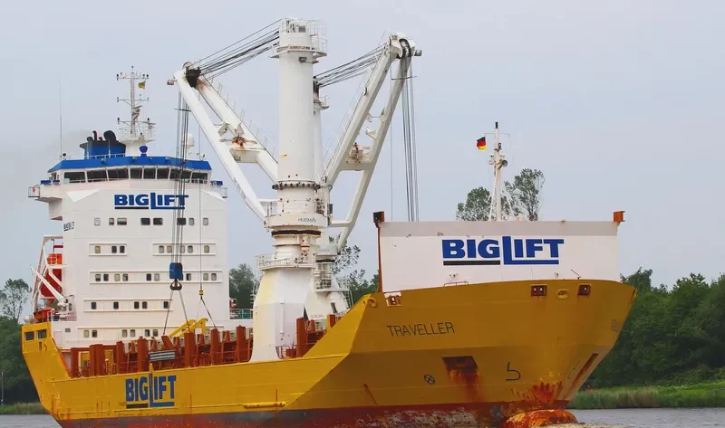 TRAVELLER Container Ship IMO 9204726