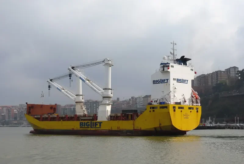 TRAVELLER Container Ship IMO 9204726 photo 9