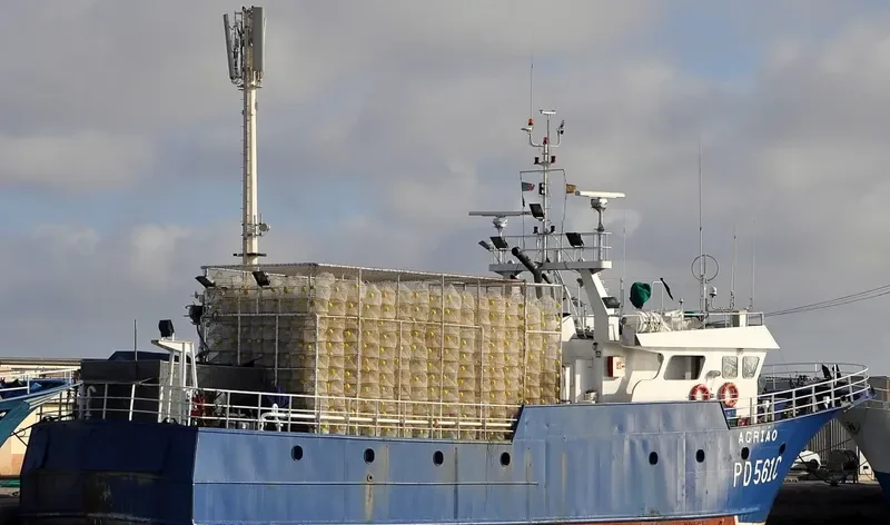 OKRHREAWB H General Cargo IMO 9205029 photo 5